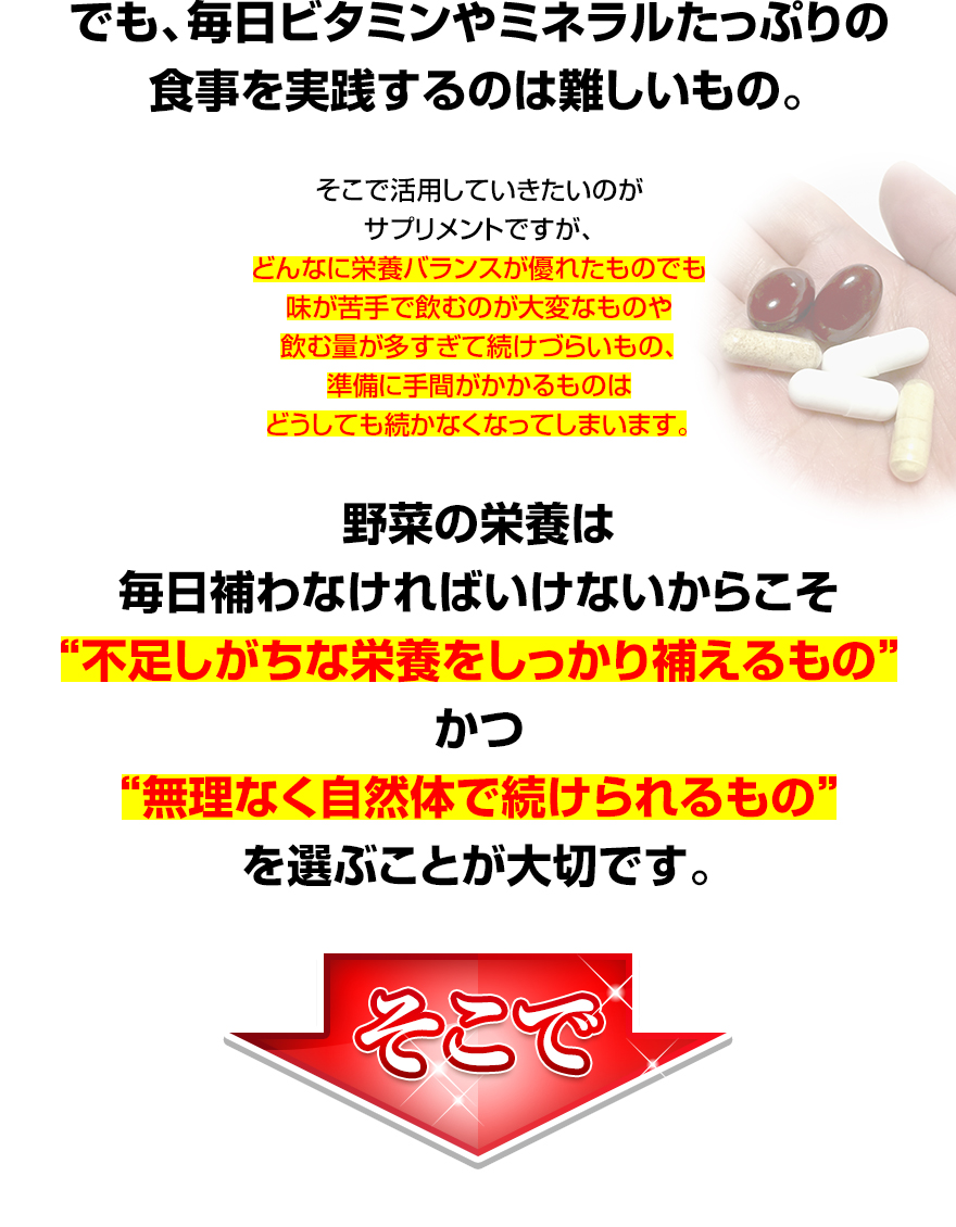 栄養素等表示基準に対する摂取状況
